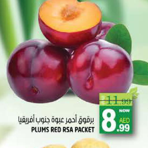 Plums available at هاشم هايبرماركت in الإمارات العربية المتحدة , الامارات - الشارقة / عجمان