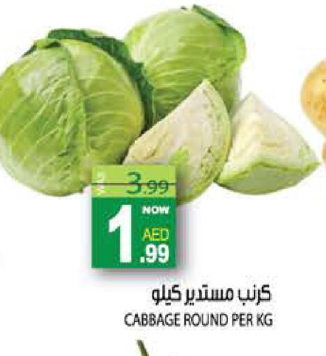 Cabbage available at هاشم هايبرماركت in الإمارات العربية المتحدة , الامارات - الشارقة / عجمان