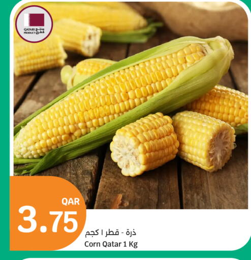 from Qatar available at City Hypermarket in Qatar - Al Wakra