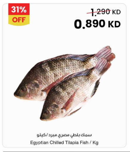 available at مركز سلطان in الكويت - محافظة الجهراء