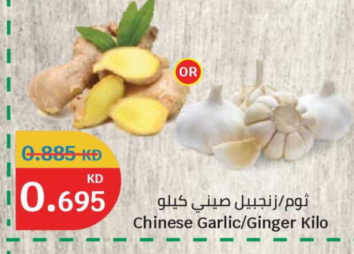 Garlic Ginger available at سيتي هايبرماركت in الكويت - محافظة الأحمدي