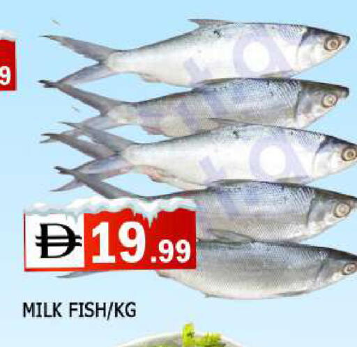 available at AL MADINA in UAE - Sharjah / Ajman