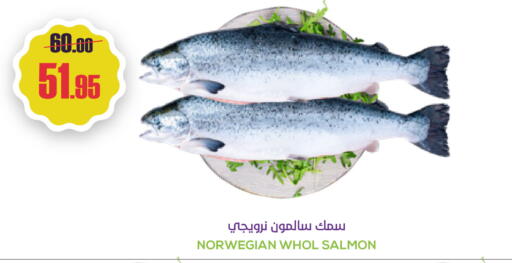 available at سبت in مملكة العربية السعودية, السعودية, سعودية - بريدة