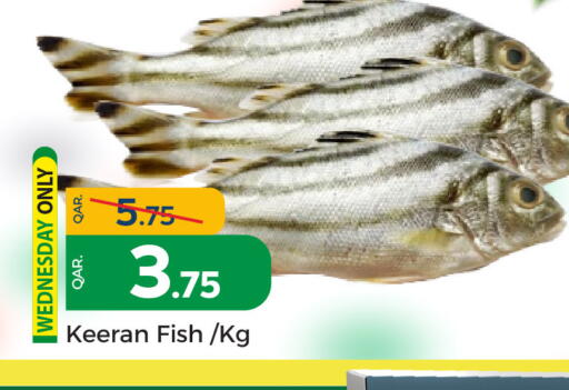 available at باريس هايبرماركت in قطر - الريان