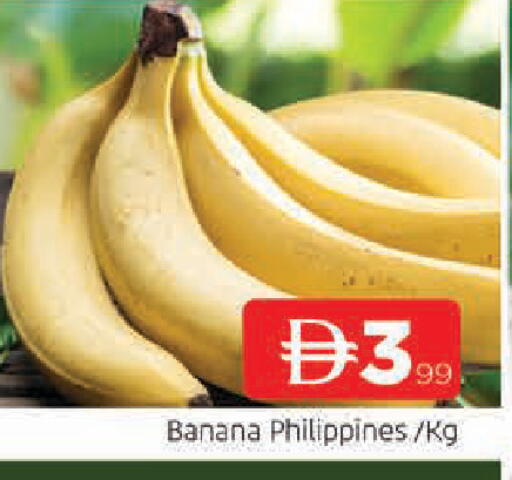 Banana from Philippines available at المدينة in الإمارات العربية المتحدة , الامارات - الشارقة / عجمان