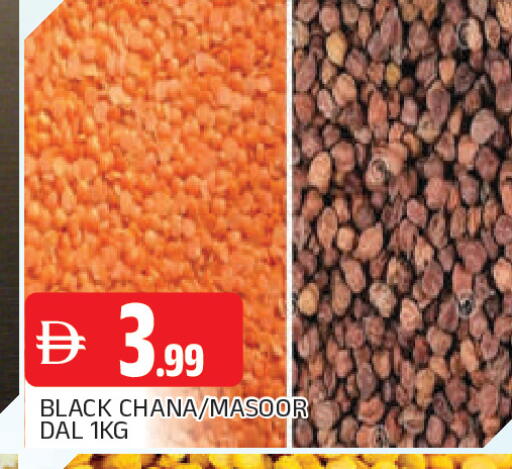 available at المدينة in الإمارات العربية المتحدة , الامارات - الشارقة / عجمان