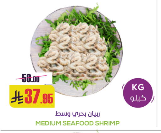available at سبت in مملكة العربية السعودية, السعودية, سعودية - بريدة