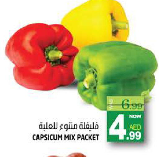 Capsicum available at هاشم هايبرماركت in الإمارات العربية المتحدة , الامارات - الشارقة / عجمان