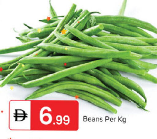 available at سوق طلال in الإمارات العربية المتحدة , الامارات - ٱلْفُجَيْرَة‎