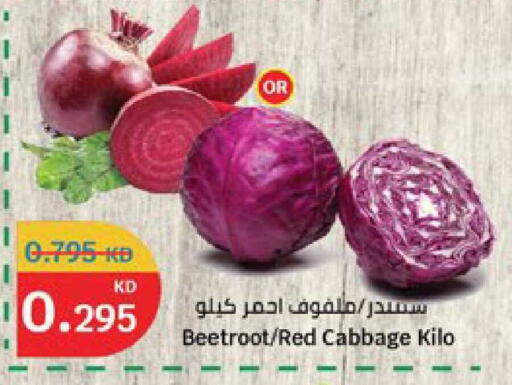 Beetroot Cabbage available at سيتي هايبرماركت in الكويت - محافظة الأحمدي