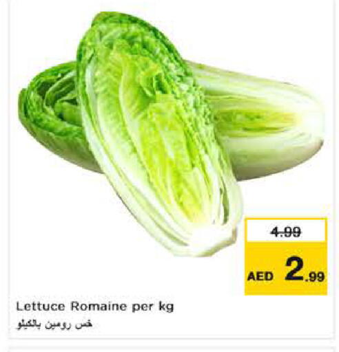 Lettuce available at نستو هايبرماركت in الإمارات العربية المتحدة , الامارات - ٱلْفُجَيْرَة‎