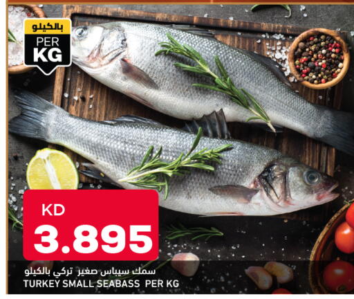 available at أونكوست in الكويت - محافظة الجهراء