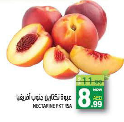 Nectarine available at هاشم هايبرماركت in الإمارات العربية المتحدة , الامارات - الشارقة / عجمان
