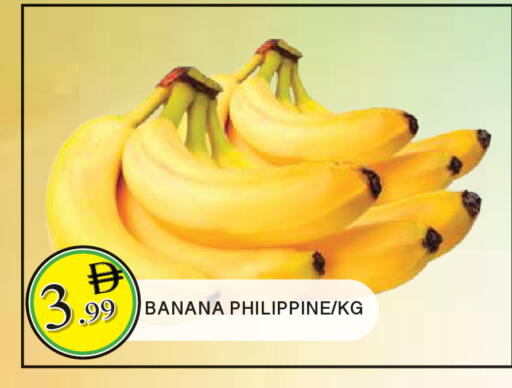 Banana from Philippines available at المدينة in الإمارات العربية المتحدة , الامارات - الشارقة / عجمان