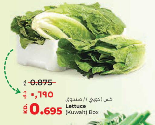 Lettuce available at Lulu Hypermarket  in Kuwait - Jahra Governorate