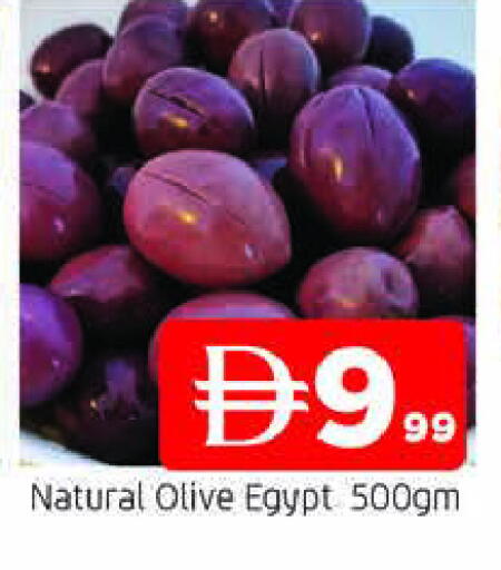 available at المدينة in الإمارات العربية المتحدة , الامارات - الشارقة / عجمان