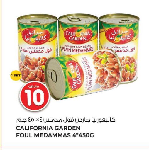 available at جملة in قطر - الضعاين