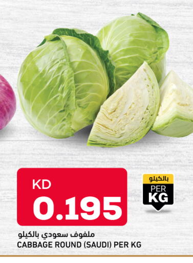 Cabbage from Saudi Arabia available at أونكوست in الكويت - محافظة الأحمدي