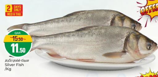 available at باريس هايبرماركت in قطر - الريان