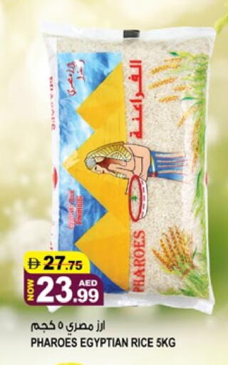 available at هاشم هايبرماركت in الإمارات العربية المتحدة , الامارات - الشارقة / عجمان