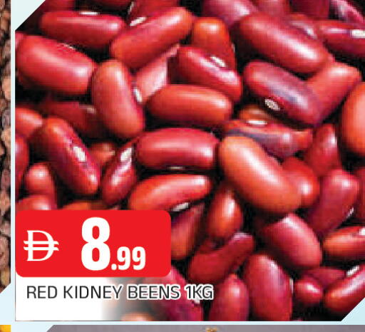 available at المدينة in الإمارات العربية المتحدة , الامارات - الشارقة / عجمان