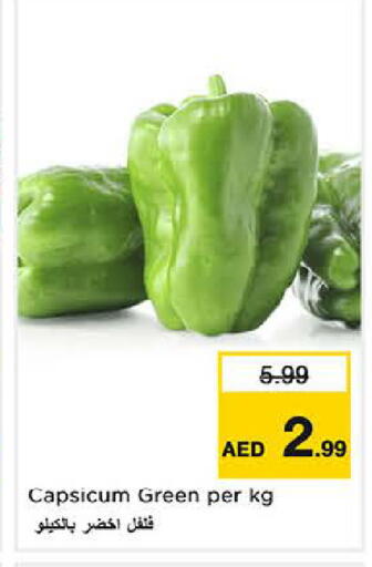 Capsicum available at لاست تشانس in الإمارات العربية المتحدة , الامارات - ٱلْفُجَيْرَة‎