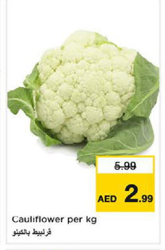 Cauliflower available at لاست تشانس in الإمارات العربية المتحدة , الامارات - ٱلْفُجَيْرَة‎