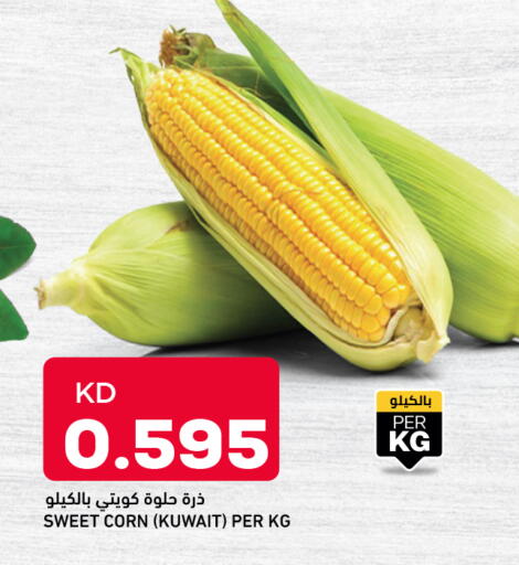 from Kuwait available at Oncost in Kuwait - Kuwait City