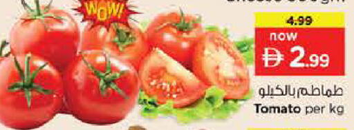 Tomato available at نستو هايبرماركت in الإمارات العربية المتحدة , الامارات - دبي