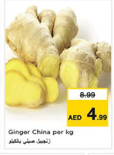 Ginger from China available at Last Chance  in UAE - Fujairah