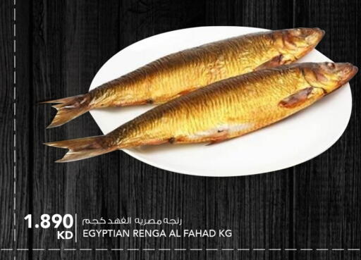 available at  ALNASSER HYPERMARKET in Kuwait - Ahmadi Governorate