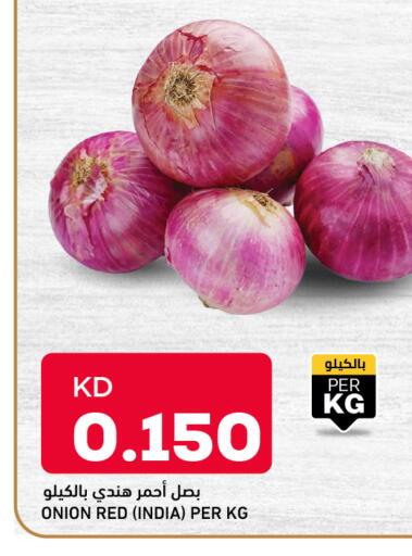 Onion from India available at Oncost in Kuwait - Kuwait City