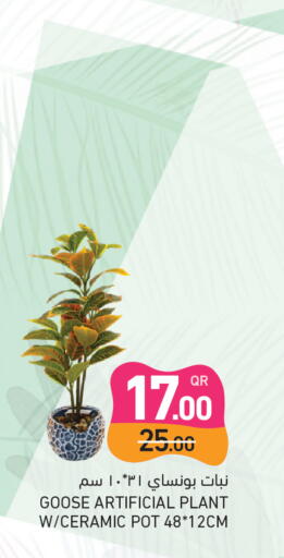 available at أسواق رامز in قطر - الخور