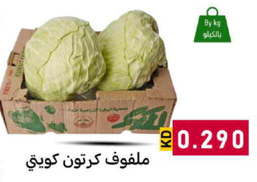 available at شركة سوق ميم المركزي  in الكويت - محافظة الأحمدي