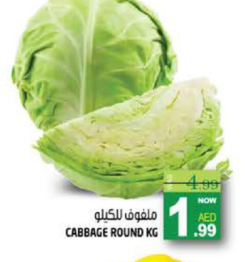 Cabbage available at هاشم هايبرماركت in الإمارات العربية المتحدة , الامارات - الشارقة / عجمان