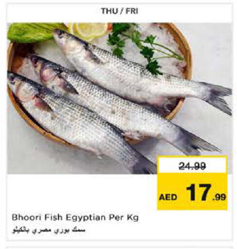 available at نستو هايبرماركت in الإمارات العربية المتحدة , الامارات - ٱلْعَيْن‎