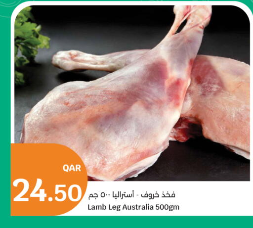 available at سيتي هايبرماركت in قطر - الضعاين