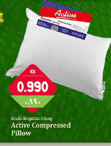 available at هايبر ماركت كابايان in الكويت - مدينة الكويت