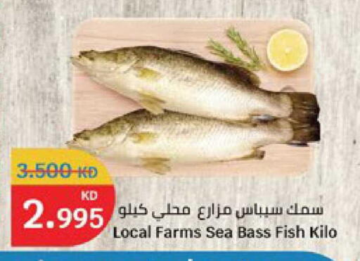 available at سيتي هايبرماركت in الكويت - محافظة الأحمدي