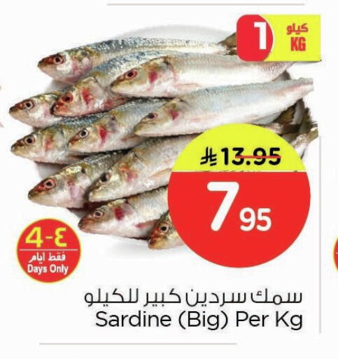 available at نستو in مملكة العربية السعودية, السعودية, سعودية - المنطقة الشرقية