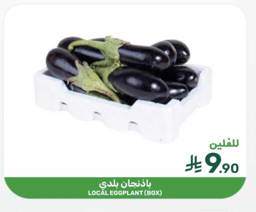 Eggplant available at Mazaya in KSA, Saudi Arabia, Saudi - Qatif