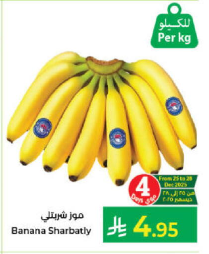 Banana available at كبايان هايبرماركت in مملكة العربية السعودية, السعودية, سعودية - جدة