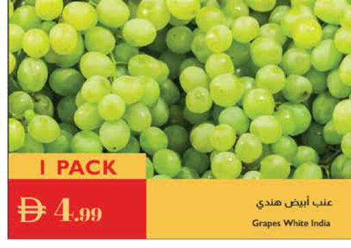 Grapes from India available at إسطنبول سوبرماركت in الإمارات العربية المتحدة , الامارات - ٱلْعَيْن‎