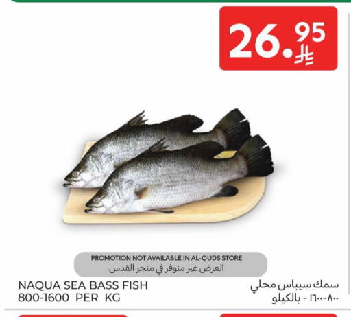 available at Carrefour in KSA, Saudi Arabia, Saudi - Al Khobar