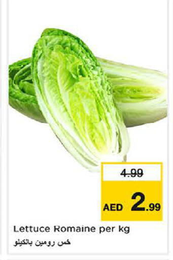 Lettuce available at لاست تشانس in الإمارات العربية المتحدة , الامارات - ٱلْفُجَيْرَة‎