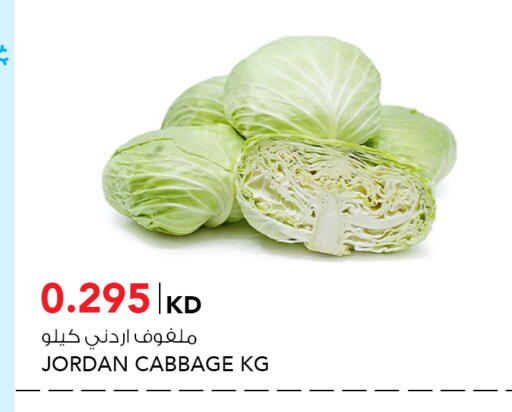 Cabbage from Jordan available at النصر هايبر ماركت in الكويت - محافظة الأحمدي