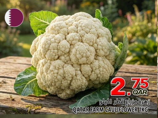 Cauliflower from Qatar available at Food Palace Hypermarket in Qatar - Al Wakra