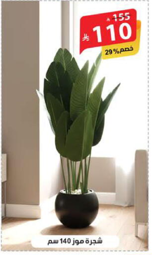 available at الهدايا سنتر in مملكة العربية السعودية, السعودية, سعودية - جدة