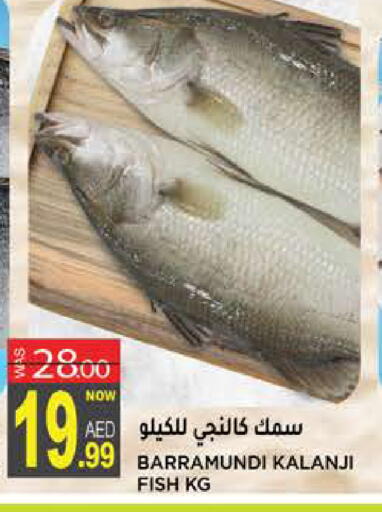 available at هاشم هايبرماركت in الإمارات العربية المتحدة , الامارات - الشارقة / عجمان