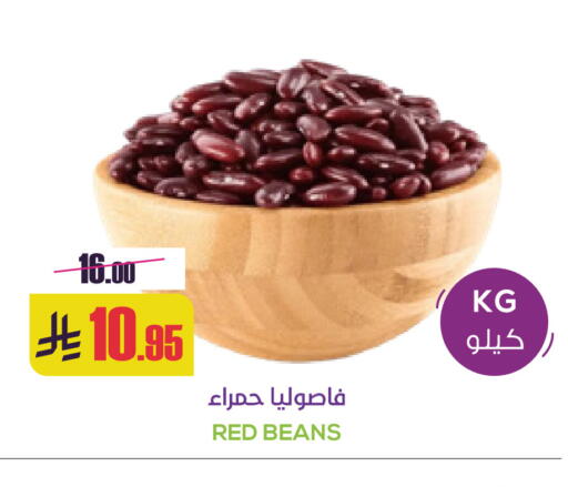 available at Sapt in KSA, Saudi Arabia, Saudi - Buraidah